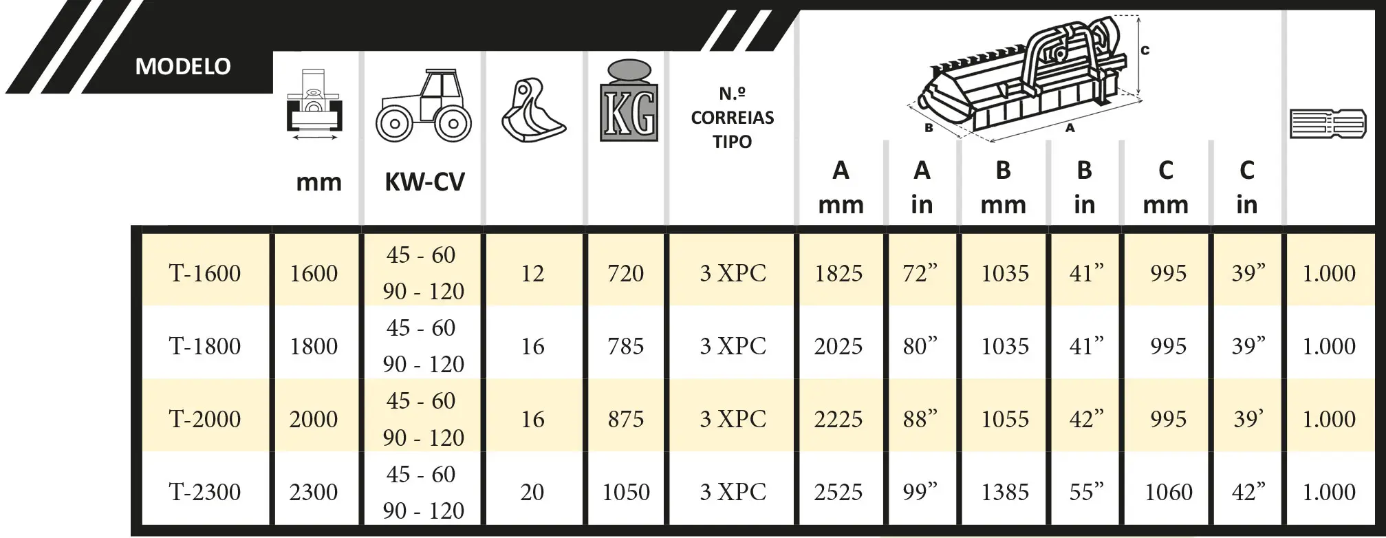 cuadro Evolution Frontal